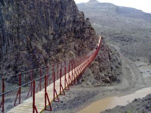 تولید زغال فشرده طارم