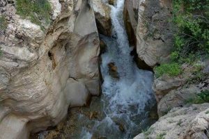 بندرعباس