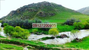 زغال فشرده میاندوآب