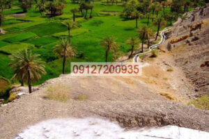تولید زغال فشرده در ایرانشهر